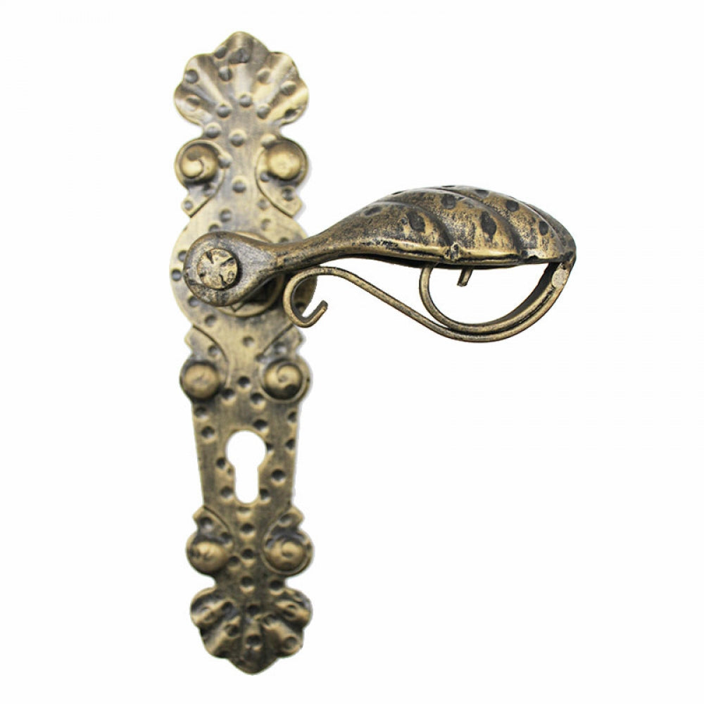 2025 Maniglia in Ferro Battuto per Porte su Placca.