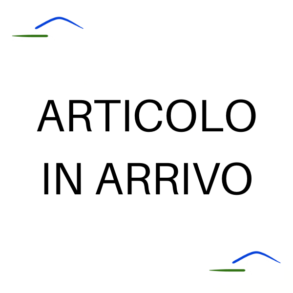 8603 Lanterna a palo in ferro battuto - Lanterna da terra